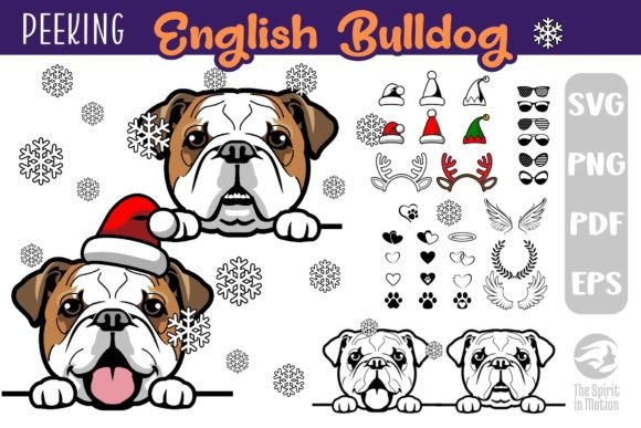 Download English Bulldog SVG, Clipart &amp; Cutfiles - Cutfiles Collection